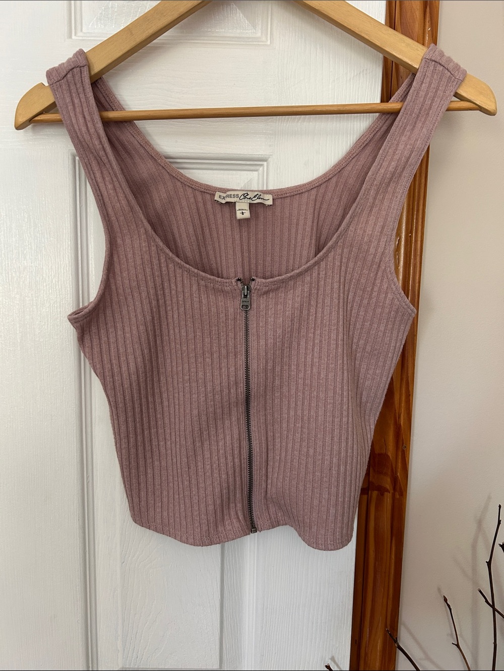 Express Dusty Mauve Ribbed Zip Tank